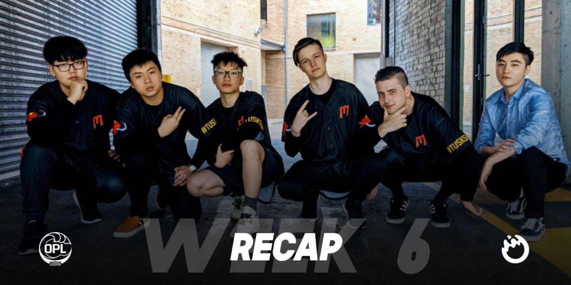 Resurgent Mammoth makes it five in a row with wins over Order, Gravitas